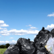 What a new waste management reform provides