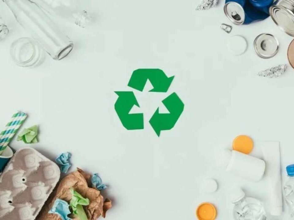 План управления отходами: почему это важно и как его разработать?