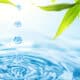 Звіт про використання води за формою 2 ТП -водгосп