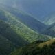 Вуглецеві кредити