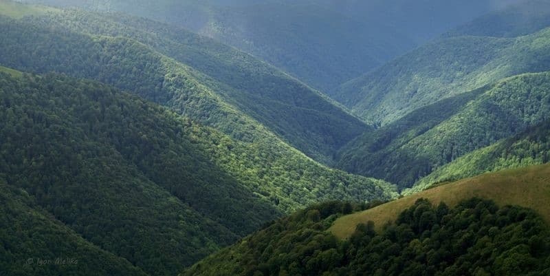 Вуглецеві кредити