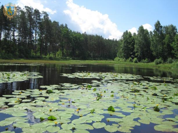 Через збереження біорізноманіття до нормального функціонування екосистем
