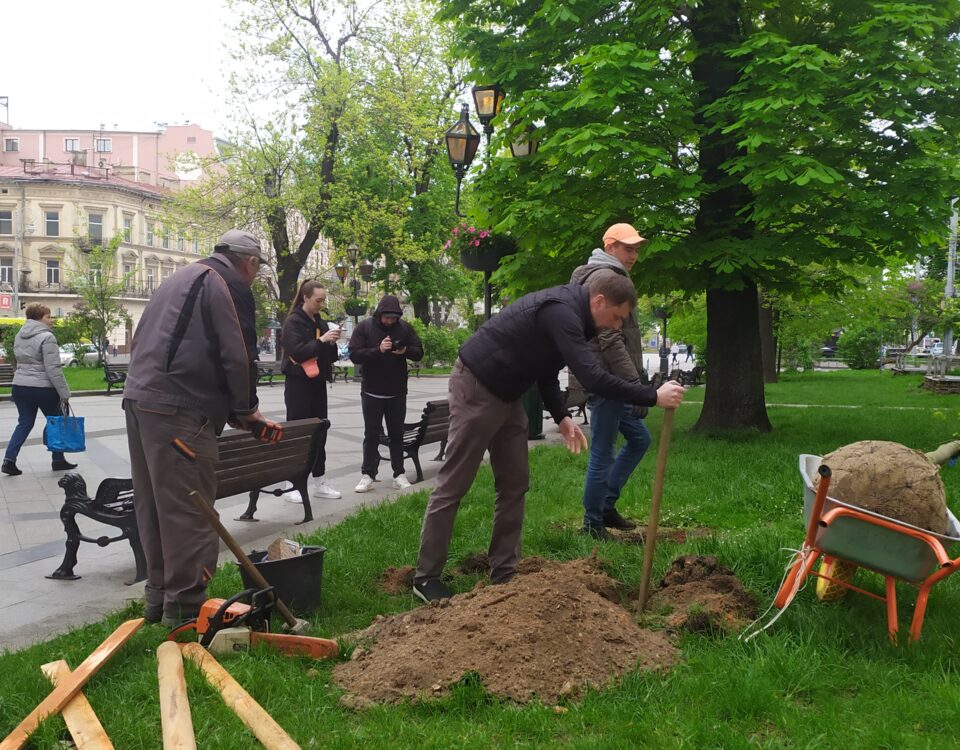 Компанія «Центр ЛТД» висадила «кліматичне» дерево у центрі Львова