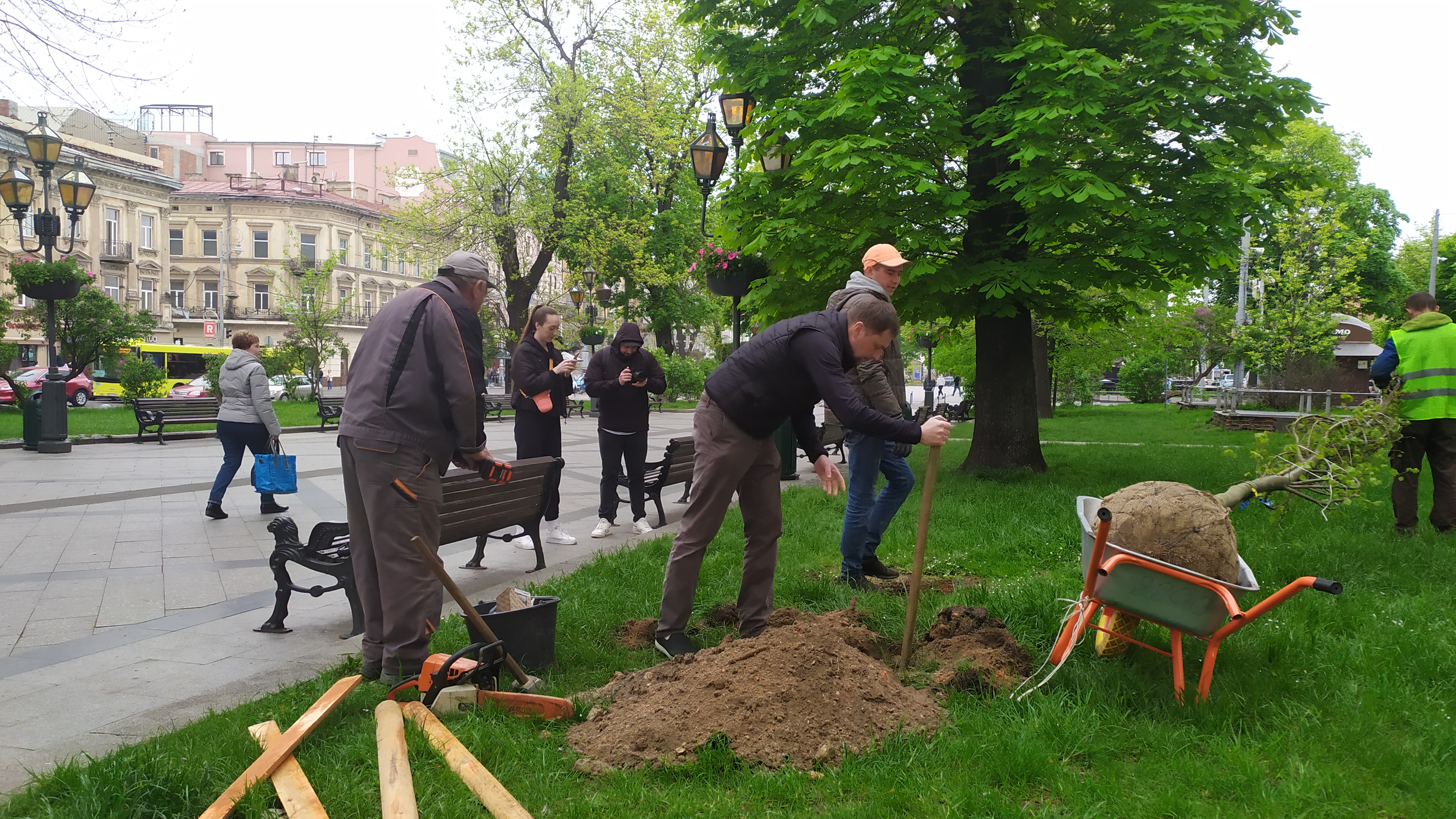 Компанія «Центр ЛТД» висадила «кліматичне» дерево у центрі Львова